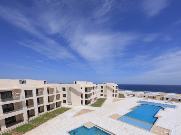 sholan somabay