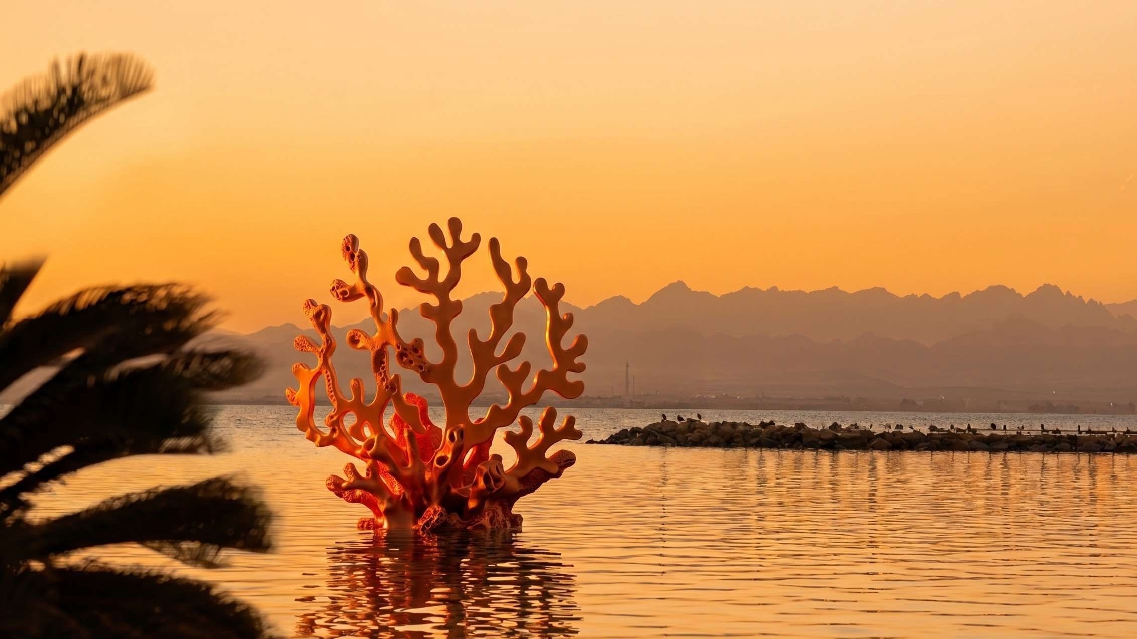 Sunset views from Coral Coves Apartments overlooking the Red Sea and surrounding mountains