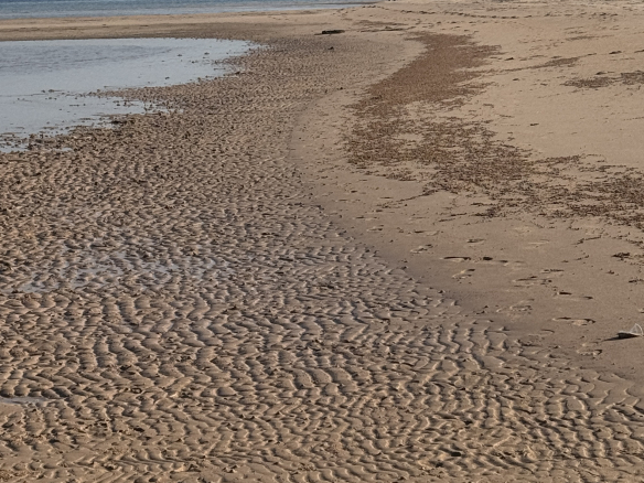 Life in Somabay – quiet Red Sea beach with mountain views in Egypt